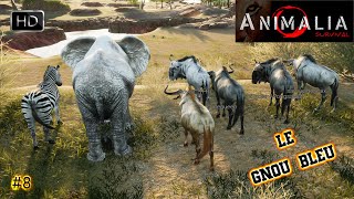 ANIMALIA SURVIVAL GAMEPLAY 8 ON INCARNE LE GNOU BLEU DAFRIQUE  FIGHT VS LION [upl. by Baese]