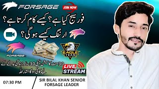 Forsage Busd Complete Plan By Sir Bilal Khan [upl. by Atinuhs]