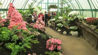 Les serres royales de Laeken [upl. by Bayer606]