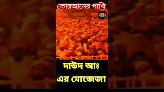 দাউদ আঃ এর মোজেজা  allama delwar hussain saidi waz দেলোয়ারহোসাইনসাঈদী delwarhossainsayeedi [upl. by Bierman]