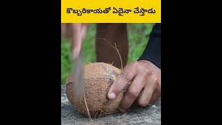 Ethadu coconut ni ala cheysadu telugu facts amazingfacts [upl. by Kcirb]