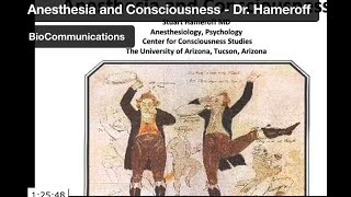 2022 Anesthesia and Consciousness  Dr Stuart Hameroff [upl. by Stilu249]