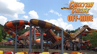 Cheetah Chase OffRide Footage Splashin Safari Racing Water Coaster  NonCopyright [upl. by Bore152]