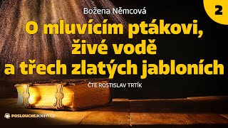 Božena Němcová O mluvícím ptákovi živé vodě a třech zlatých jabloních 23 [upl. by Nsaj249]