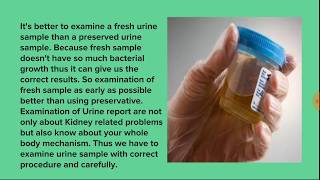 Examination of Urine in clinical pathology basic knowledge for MLT beginner students [upl. by Jsandye]