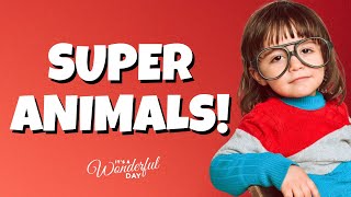 Animal Superheroes  Its A Wonderful Day  A learning show for kids 😊 and parents [upl. by Ylak]