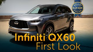 2022 Infiniti QX60  First Look [upl. by Rodie]