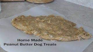 Peanut Butter Dog Treats [upl. by Valery]