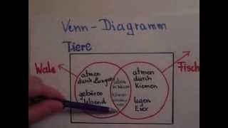 VennDiagramm  Erklärung [upl. by Malcom]