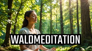 Tiefe Waldmeditation Finde Ruhe und Frieden in der Natur 🌲🧘‍♀️ [upl. by Neumeyer]