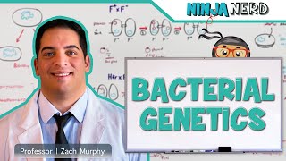 Bacterial Genetics [upl. by Kirstyn]