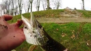 Pêche en loire au leurre  GoPro HD [upl. by Kassity]