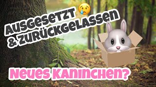 ausgesetzt amp zurückgelassen  Neues Kaninchen [upl. by Warchaw]