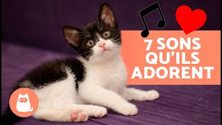 7 SONS QUE LES CHATS ADORENT 🐱🔊  Des sons pour ATTIRER votre CHAT ✅ [upl. by Bertero]