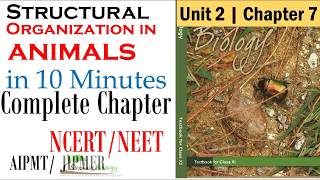 Structural Organisation In Animals in 30 minutes🔥🔥 Neet 2022  Ultimate Revision [upl. by Aikemet]