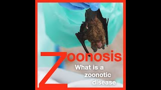 Zoonosis What is a Zoonotic Disease [upl. by Etnomed]