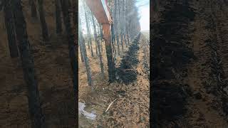 Forest trench digging process Good tools and machinery make work easy [upl. by Sky169]