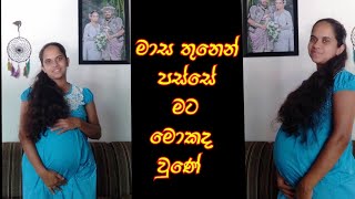 2nd Trimester 🤰 දෙවන මාස තුන [upl. by Tryck423]