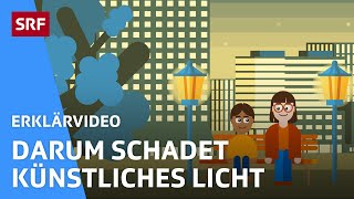 Was ist Lichtverschmutzung  Erklärvideos für Kinder  SRF Kids – Kindervideos [upl. by Hploda940]