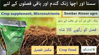 Somber crop supplement for wheat and other crops  perfect for deficiency of zinc copper and iron [upl. by Teressa]