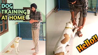 How to Train Pet Dog at Home [upl. by Arelus]