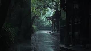 Evening rain 12 rain thunder weather rainsounds peace sleep meditate shorts nature [upl. by Tsai]