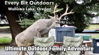 Ultimate Family Adventure at Wallowa Lake [upl. by Niveb]