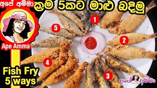 ✔ ක්‍රම 5කට මාළු බදින රසම ක්‍රමය fish fryMaalu badimu 5 Methods of Fried fish by Apé Amma [upl. by Brnaba]