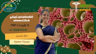 Anatomy of Flowering Plants  Part 3  Complex Tissue  Xylem Tissue  NEET Tamil [upl. by Gard]