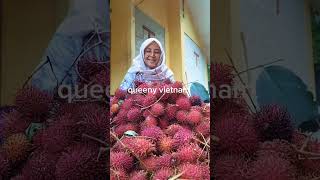 queeny vietnam calon mama mertua panen rambutan kapan queeny ke Indonesia keburu habis [upl. by Aria]