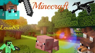 on continue laventure minecraft avec vous [upl. by Michigan741]