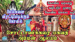 சோட்டாணிக்கரை பகவதி அம்மன் கோவில் Trip Just Rs860கோயில் வரலாறு வழிபடும் முறை chottanikkaratemple [upl. by Noella]