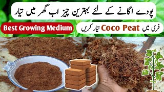 Best Growing Medium For Kitchen Gardening At Home HindiUrdu  Prepare Coco Peat At Home  Garden [upl. by Labina]