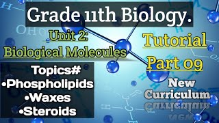 Phospholipids Waxes Steroids Class 11Biology Unit2 Biological Molecules Part9 [upl. by Arten]