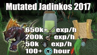 Runescape 3 Mutated Jadinkos Slayer Guide 2017  650k Melee Exph  50k Farming exph [upl. by Zertnom]