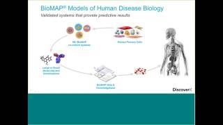 Enabling Development of Cancer Immunotherapy Drugs – From Discovery to Combination Strategies [upl. by Oirram549]