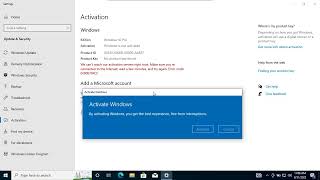 Activate Microsoft Windows 10  11 Pro [upl. by Slaby313]