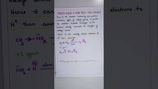 Methyl amine is more basic than Ammonia ORGANIC CHEMISTRY BSc Second year SEMESTER III [upl. by Northrop]