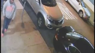 Surveillance Video Long Island City Shooting Suspect [upl. by Annaerdna]