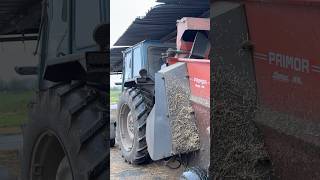 🚜 Spreading Straw in the Cowshed – Farm Life in Action 🐄 [upl. by Bywaters832]