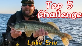 25 Walleye Caught Trolling Lake Erie [upl. by Ricker]