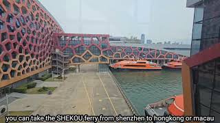 taking the SHEKOU ferry from shenzhen to macau [upl. by Eirual]