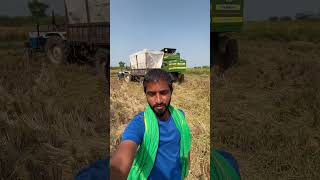 Pathi ammukochinam  lifestyle farming villagelife agriculture vlog [upl. by Atiekahs]