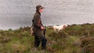 The Shooting Show – grouse over pointers special [upl. by Dreda61]