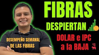 Fibra Uno FUNO11 y Fibra Monterrey FMTY14 Repuntan  Dolar e IPC a la Baja  Desempeño FIBRAS [upl. by Anahtor88]