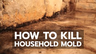 How to Kill Household Mold [upl. by Maurise]