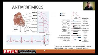 Fármacos Antiarritmicos [upl. by Ainerbas]