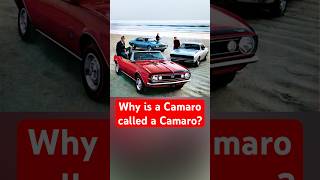 Why is a Chevy Camaro Called a Camaro [upl. by Ron824]