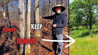 How To Improve Hardwood Timber for Wildlife  Part 1 Principles 801 [upl. by Nyahs]