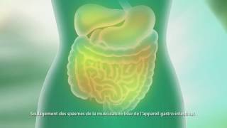 Buscopan® Canada  15 Sec TV Commercial  French [upl. by Edia]